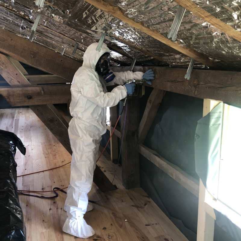 Technicien BDX Termites Libourne en combinaison de protection traitant une poutre de charpente