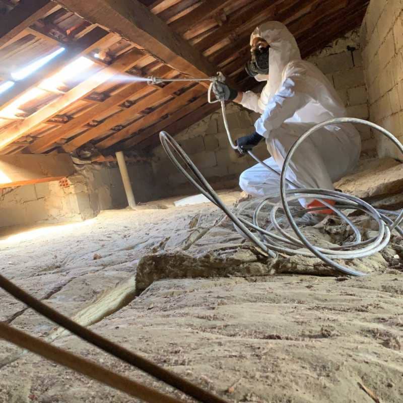 Technicien BDX Termites Libourne traitant la charpente de combles par pulvérisation